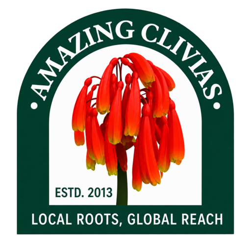 Amazing Clivias